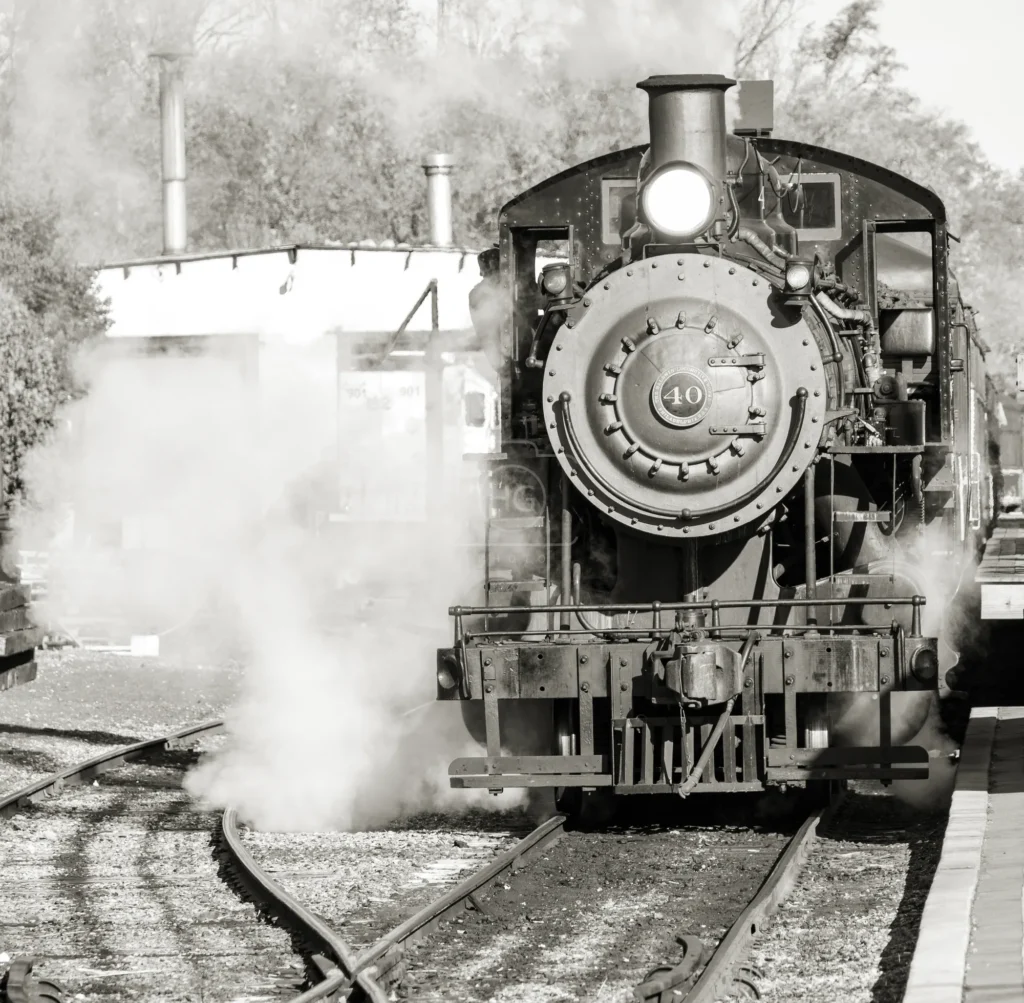 4M7A5628