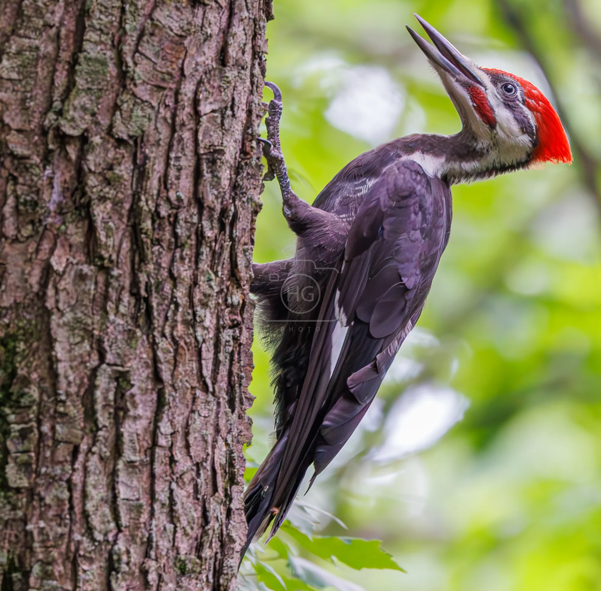4M7A2681