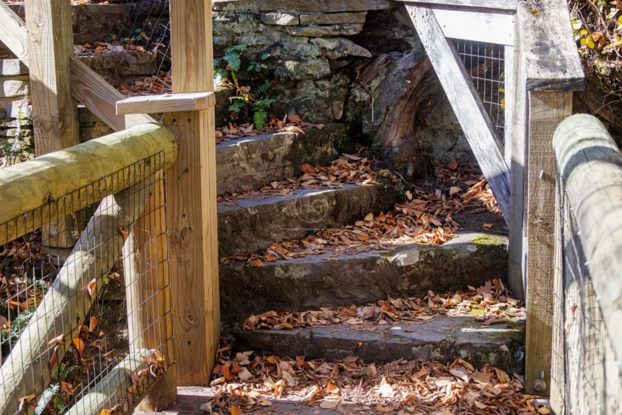 4M7A2896